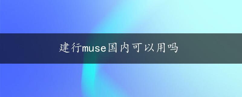 建行muse国内可以用吗