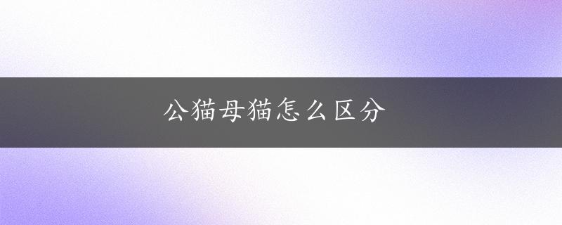 公猫母猫怎么区分