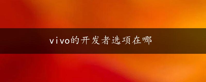 vivo的开发者选项在哪