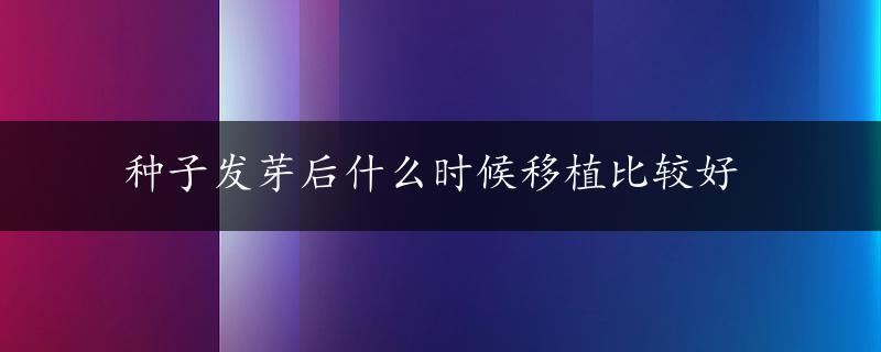 种子发芽后什么时候移植比较好