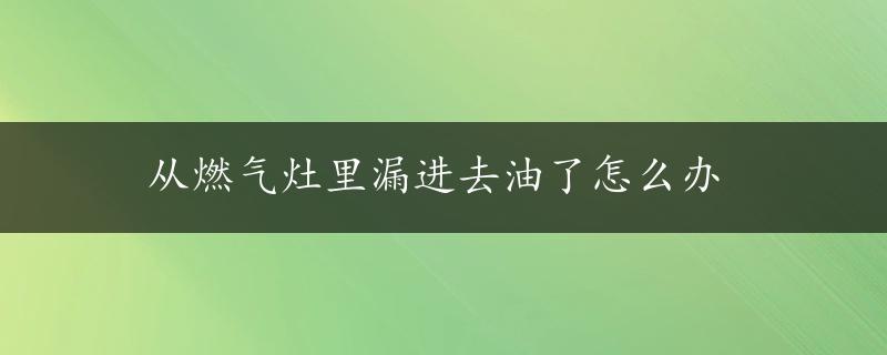 从燃气灶里漏进去油了怎么办