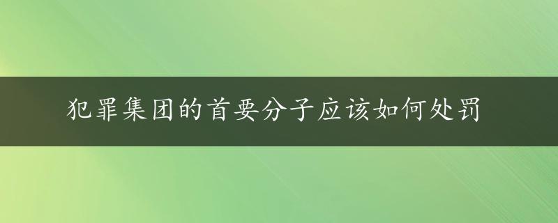 犯罪集团的首要分子应该如何处罚