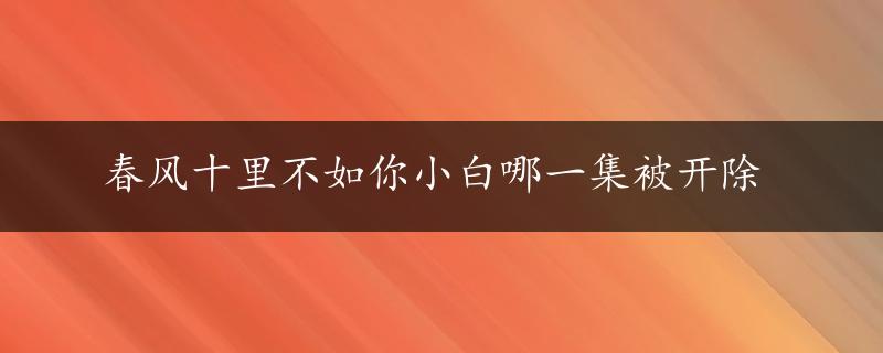 春风十里不如你小白哪一集被开除