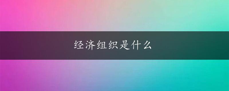 经济组织是什么