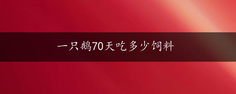 一只鹅70天吃多少饲料