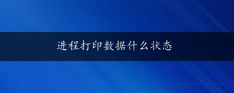 进程打印数据什么状态