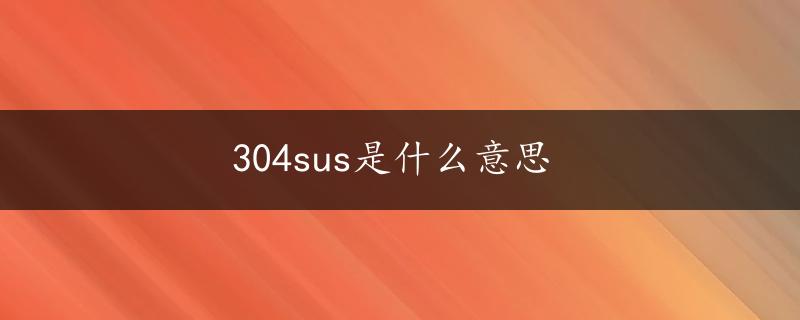 304sus是什么意思