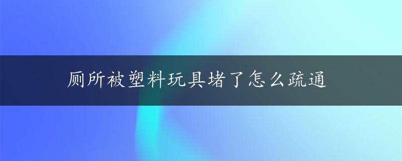 厕所被塑料玩具堵了怎么疏通