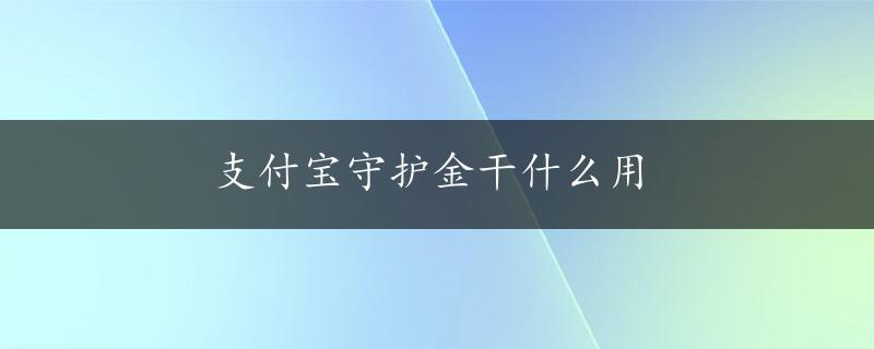 支付宝守护金干什么用