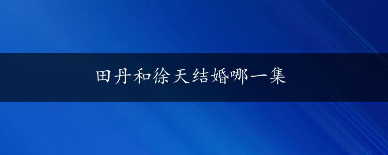 田丹和徐天结婚哪一集