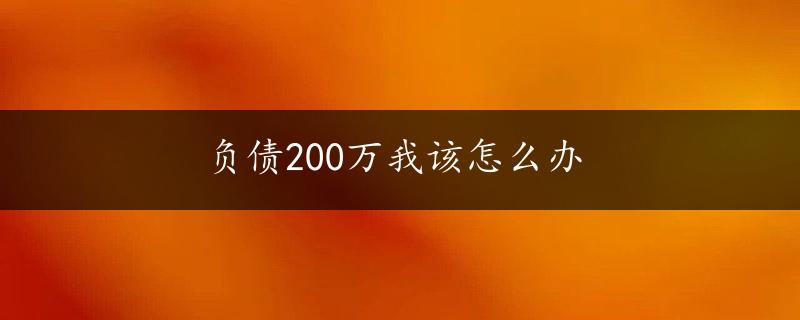 负债200万我该怎么办