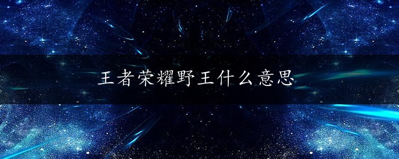 王者荣耀野王什么意思