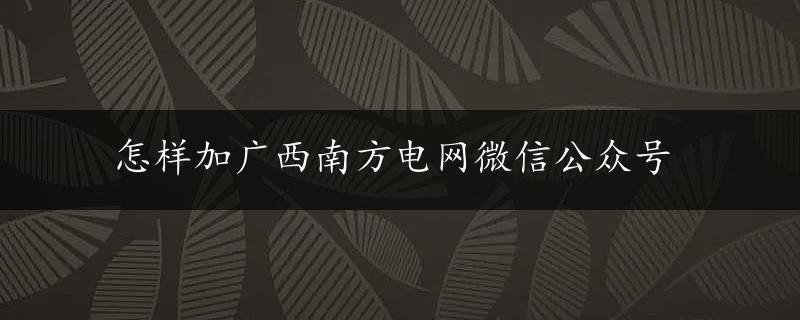 怎样加广西南方电网微信公众号