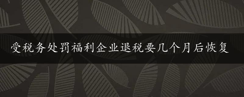 受税务处罚福利企业退税要几个月后恢复