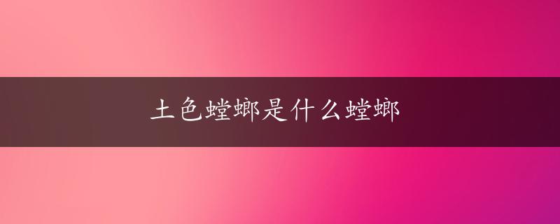 土色螳螂是什么螳螂