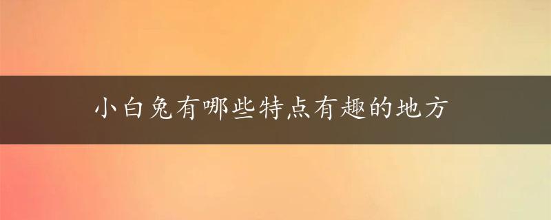 小白兔有哪些特点有趣的地方