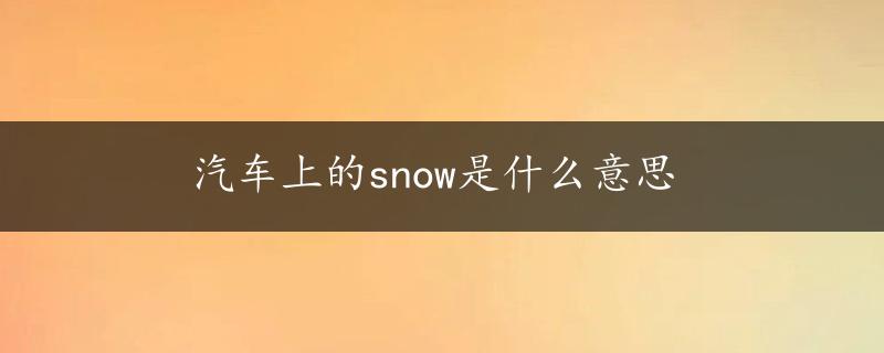 汽车上的snow是什么意思