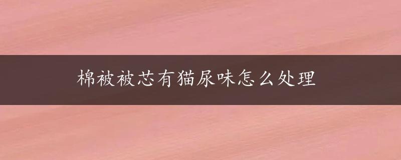 棉被被芯有猫尿味怎么处理