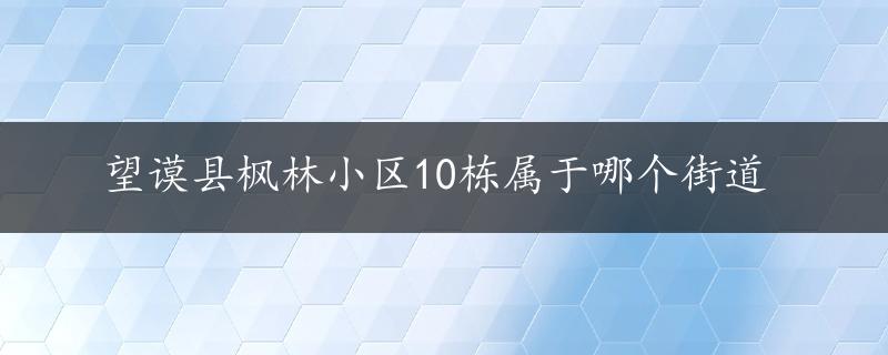 望谟县枫林小区10栋属于哪个街道