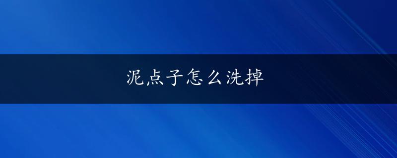 泥点子怎么洗掉