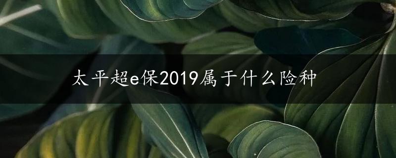 太平超e保2019属于什么险种