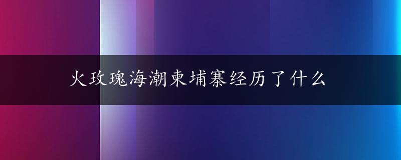 火玫瑰海潮柬埔寨经历了什么