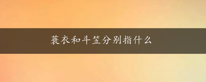 蓑衣和斗笠分别指什么