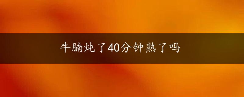 牛腩炖了40分钟熟了吗