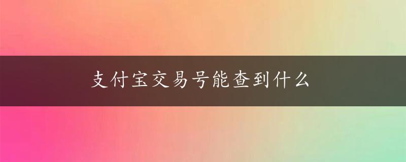 支付宝交易号能查到什么