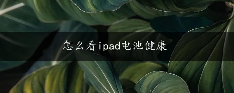 怎么看ipad电池健康