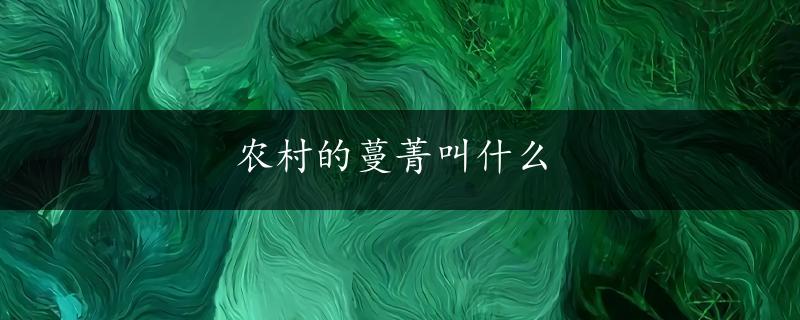 农村的蔓菁叫什么