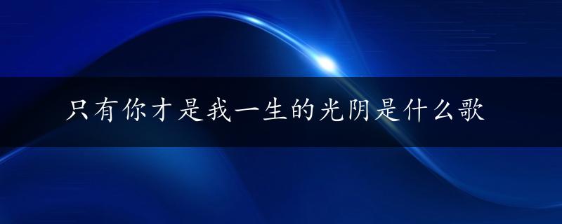 只有你才是我一生的光阴是什么歌