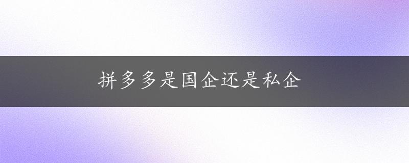 拼多多是国企还是私企