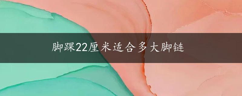 脚踝22厘米适合多大脚链