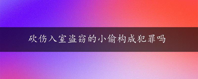 砍伤入室盗窃的小偷构成犯罪吗