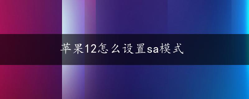 苹果12怎么设置sa模式