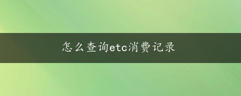 怎么查询etc消费记录