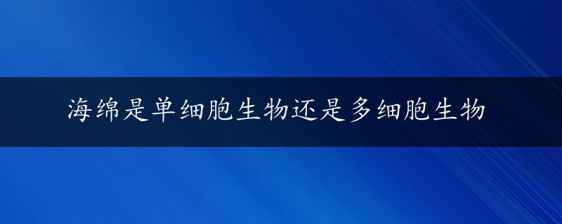 海绵是单细胞生物还是多细胞生物