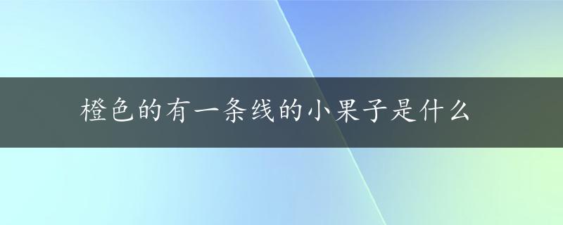 橙色的有一条线的小果子是什么