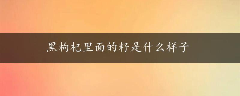 黑枸杞里面的籽是什么样子