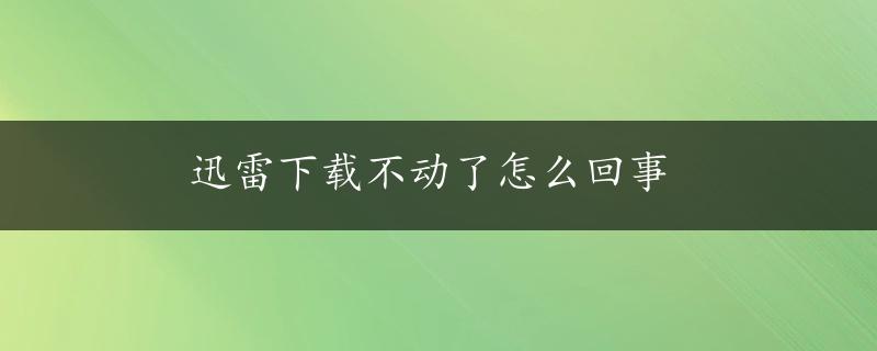 迅雷下载不动了怎么回事