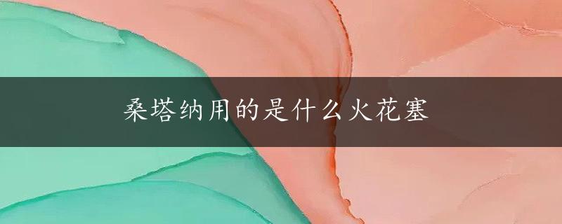 桑塔纳用的是什么火花塞