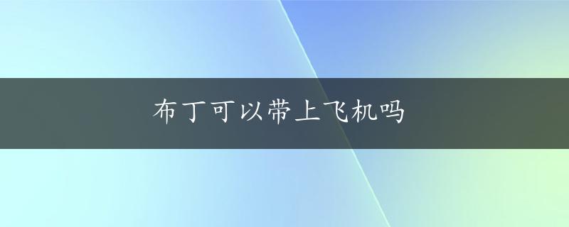 布丁可以带上飞机吗