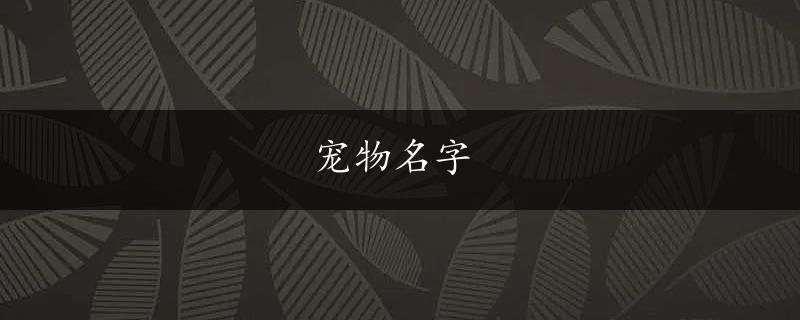 宠物名字