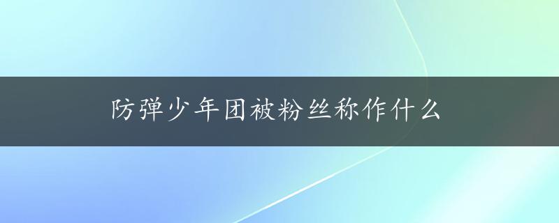 防弹少年团被粉丝称作什么