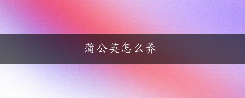 蒲公英怎么养