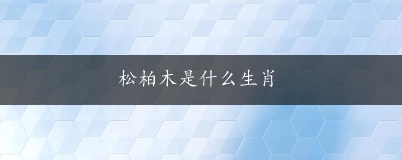 松柏木是什么生肖