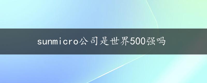 sunmicro公司是世界500强吗