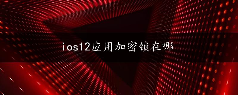 ios12应用加密锁在哪