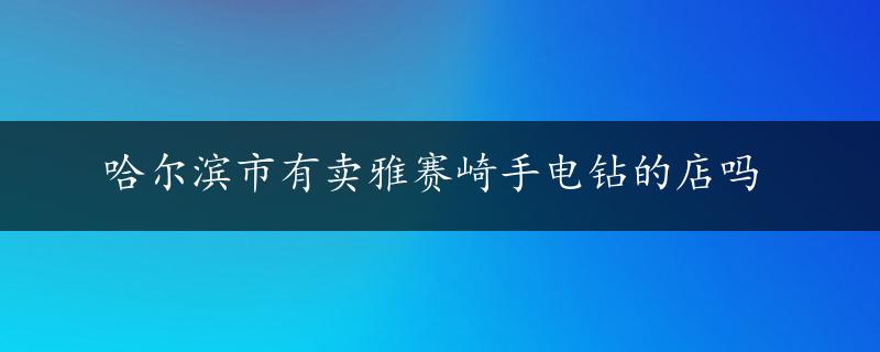 哈尔滨市有卖雅赛崎手电钻的店吗